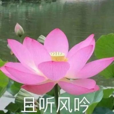 招商公路：董事刘威武辞职